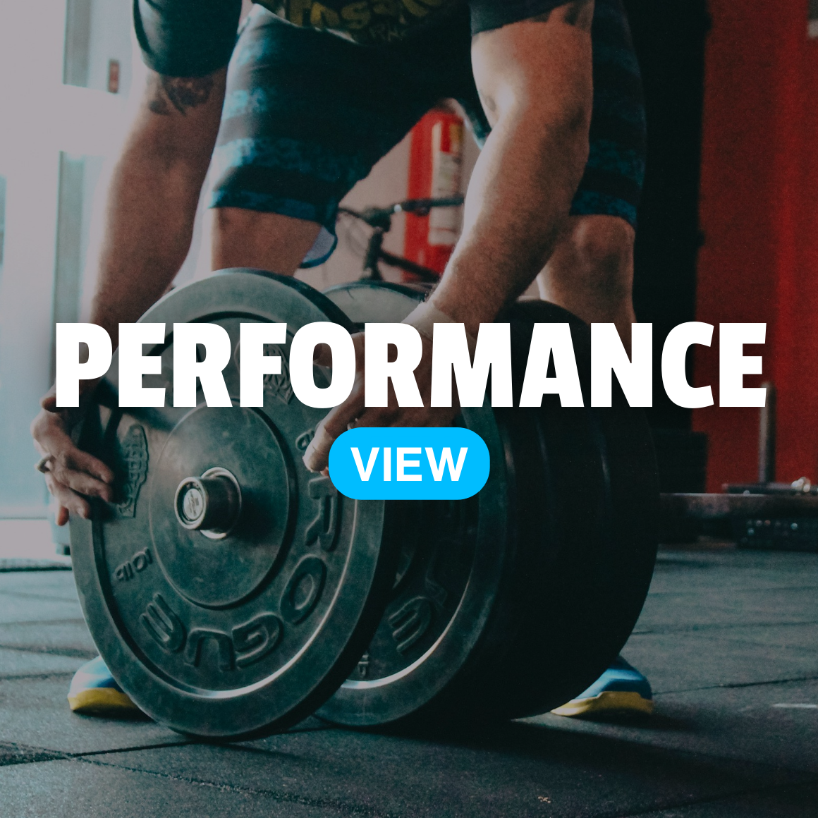 Performance Supplements